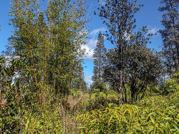 5th image of 16-1871 Road 9 Lot 5508