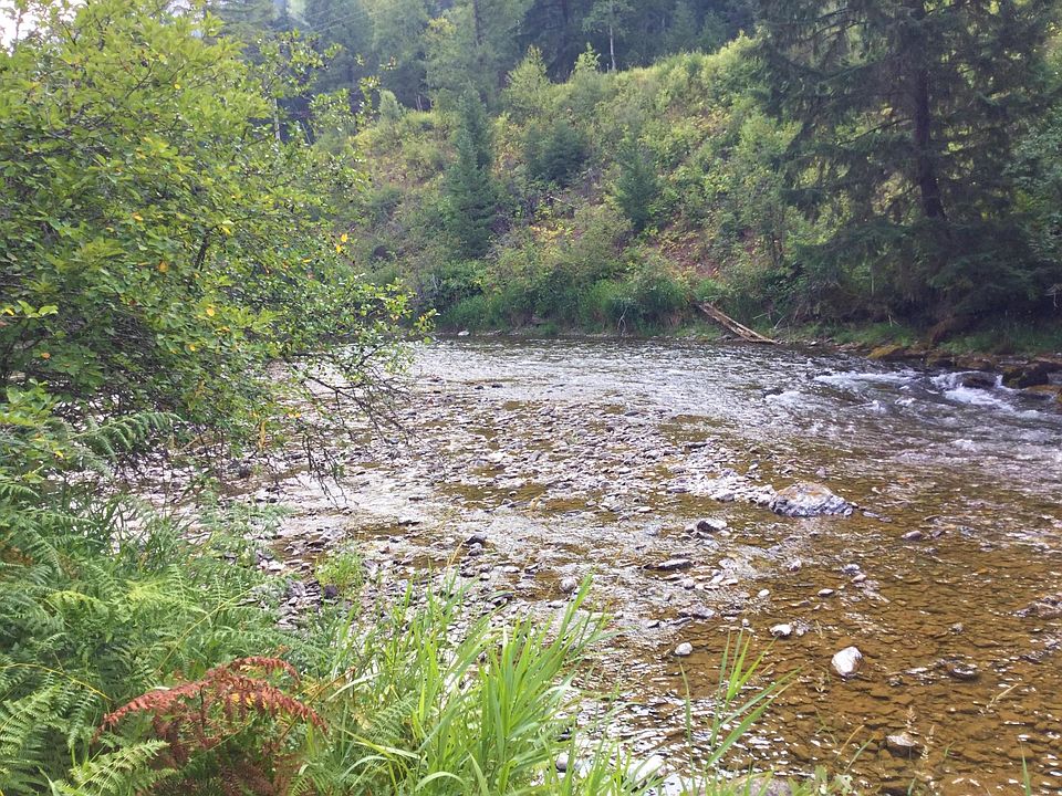 1st image of Nhn Conifer Ln