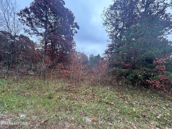 Old Collins Tpke, Deer Lodge, TN 37726