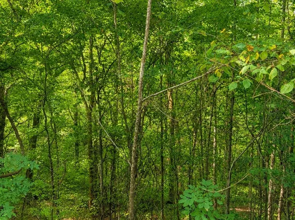 0 Shoreside Dr Lot 114, Smithville, TN 37166