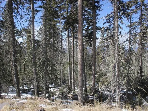 19 Happy Way, Angel Fire, NM 87710