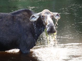 50 Johnson Rd, Dexter, ME 04930