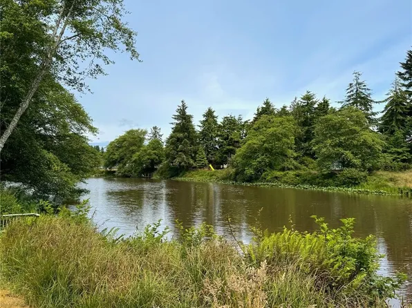 430 Dolphin Avenue NE, Ocean Shores, WA 98569