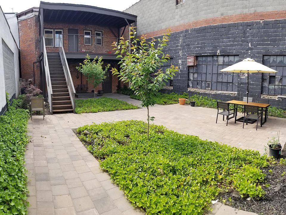 Rear deck and courtyard