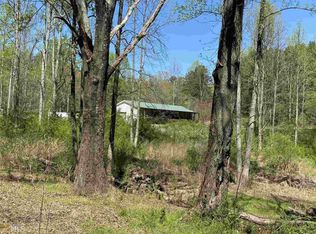 5707 Oscar Gilstrap Rd, Clermont, GA 30527