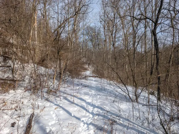 0 Miltonsburg Calais Rd Tract 11, Woodsfield, OH 43793