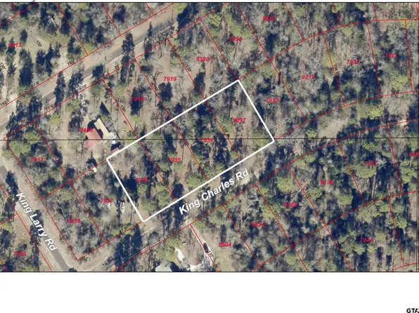 Lots 34 37 King Charles Rd, Scroggins, TX 75480