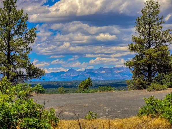 1654 Carino Place, Pagosa Springs, CO 81147