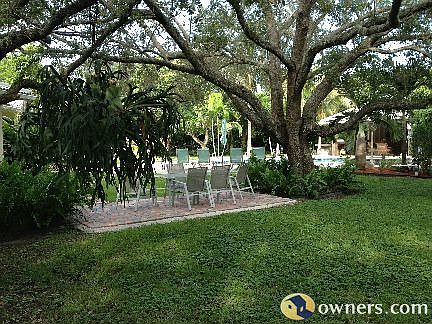 back yard