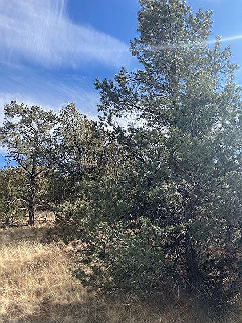 1st image of 91 Ranch Rd #78-8145