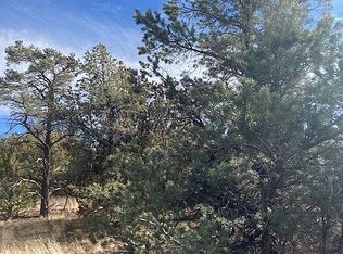 91 Ranch Rd #78-8145, Concho, AZ 85924