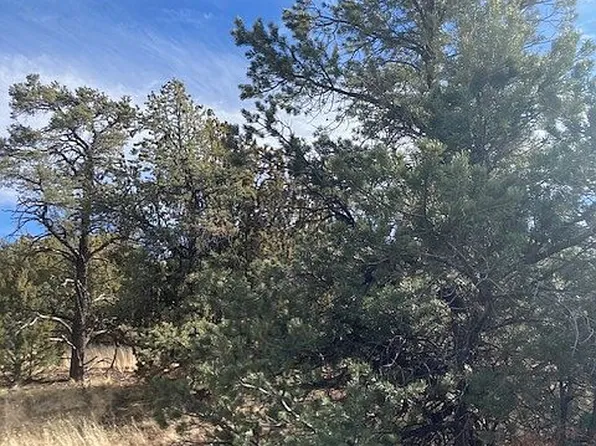 91 Ranch Rd #78-8145, Concho, AZ 85924