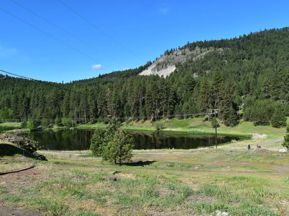 25 Deer Lake Rd, Republic, WA 99166