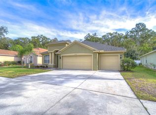 10528 Deerberry Dr, Land O Lakes, FL 34638