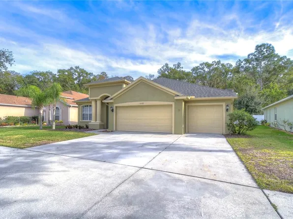 10528 Deerberry Dr, Land O Lakes, FL 34638