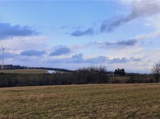 1325 State Route 170, Middleville, NY 13406