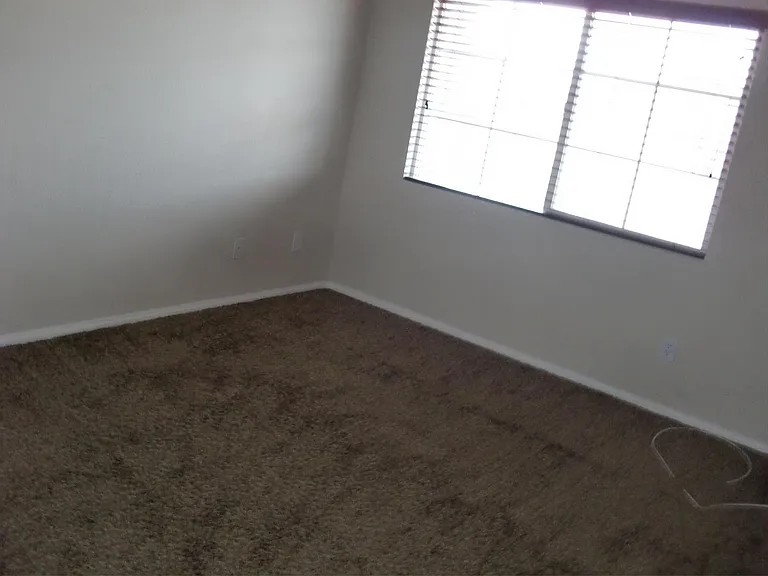 10611 Timber Stand St — Photo 10