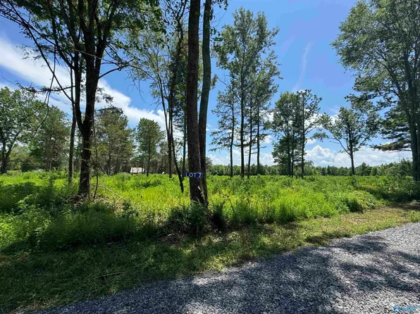 7 W Lane St, Albertville, AL 35950