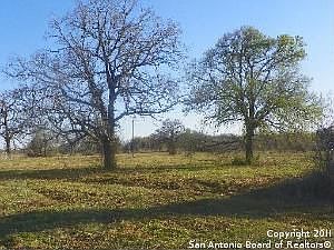 2nd image of 130 County Road 442