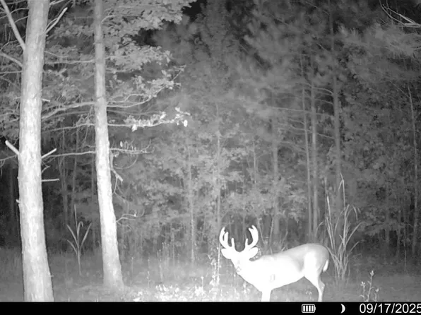 County Road 5034, Kosciusko, MS 39090