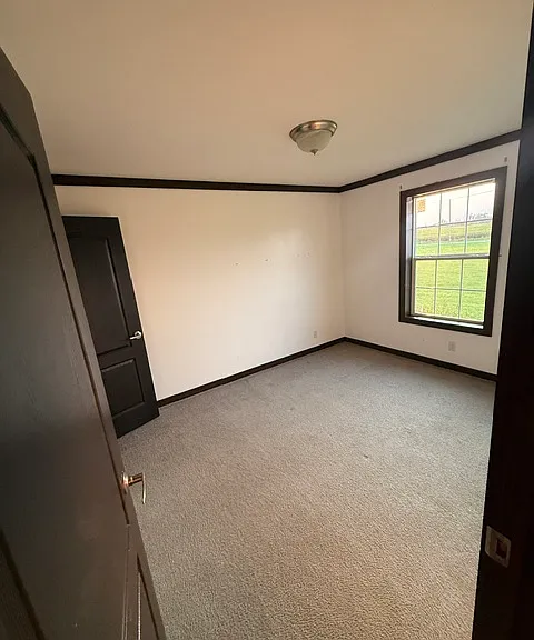 726 Cash Dollar Cove Rd — Photo 14