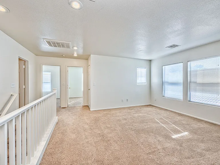 4222 Spruce Fern Ln — Photo 15