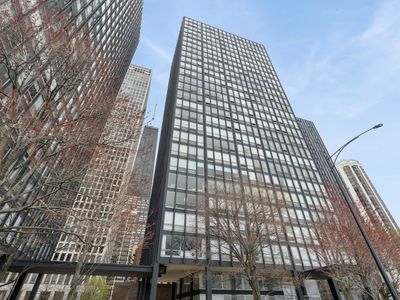 880 N Lake Shore Dr #11D, Chicago, IL, 60611