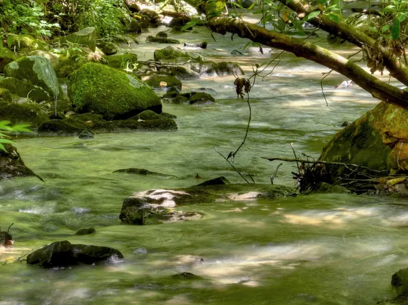 103 Old Woods Rd, Morganton, GA 30560