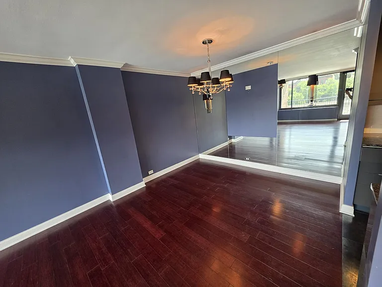 1555 N Sandburg Ter #305 — Photo 5