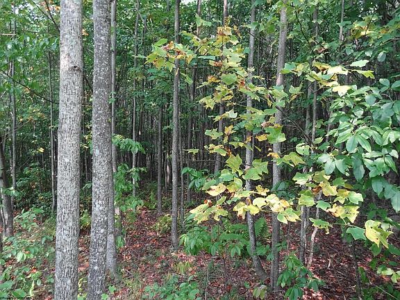 3rd image of 2110 W Teter Creek Rd