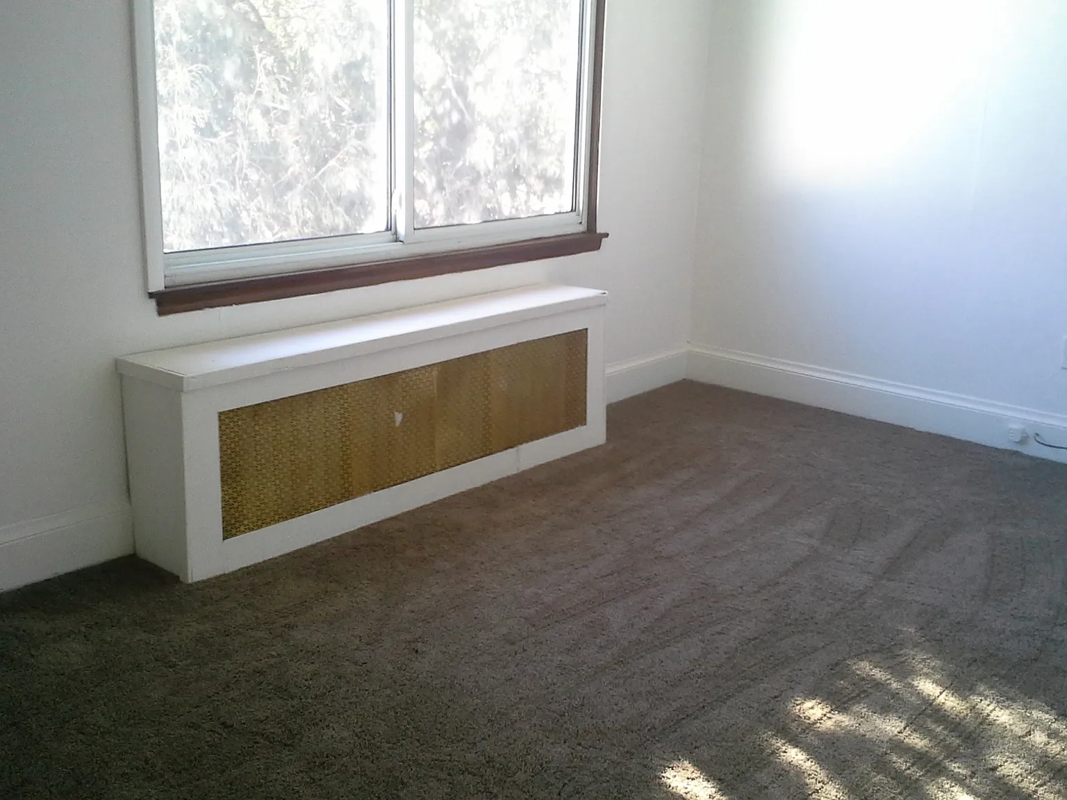 209 10TH ST S - 4 — Photo 3