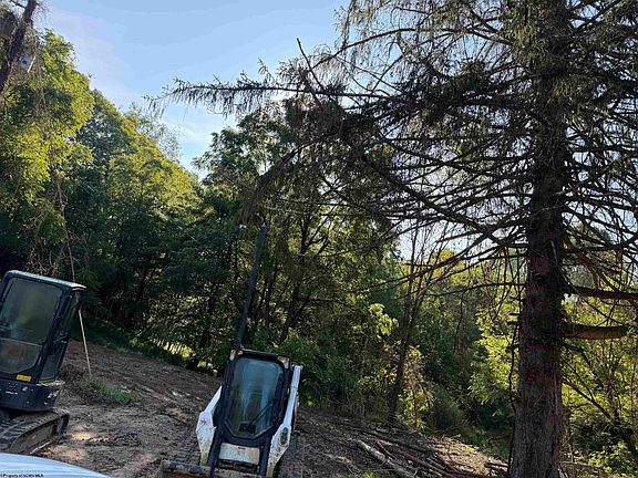 3rd image of 88 Ruby Dr
