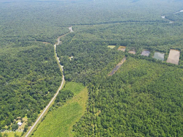 0 County Road 381, Wewahitchka, FL 32465