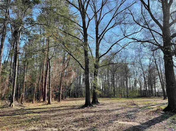 30892 Weiss Rd, Walker, LA 70785