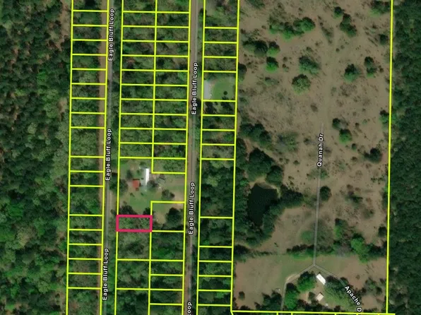 521 Eagle Bluff Loop Lot 521, Avinger, TX 75630