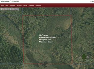 N Dorr Rd, Merritt, MI 49667