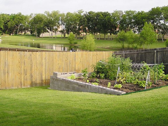 Back yard veg. garden