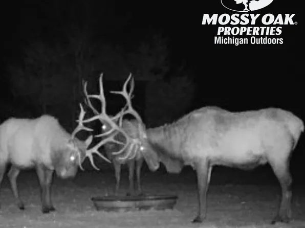 2712 Whiting Rd, Cheboygan, MI 49721