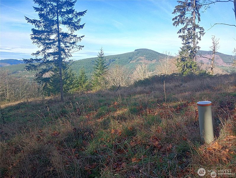 2nd image of 167 Wagner Road