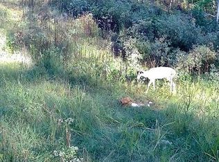 564 Dixon Rd, Cadiz, KY 42211