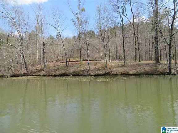 3rd image of LOT 14 Eagle Point Trce