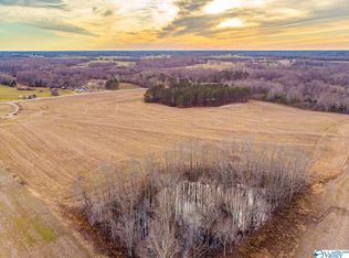 34118 State Highway 99, Anderson, AL 35610