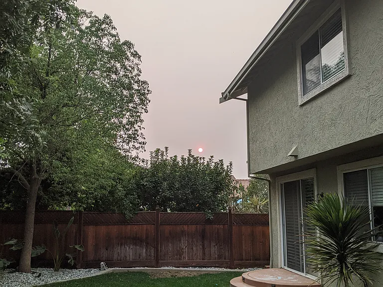 368 Pecan Pl — Photo 41