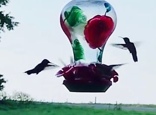 2237 McDaniel Rd, Java, VA 24565