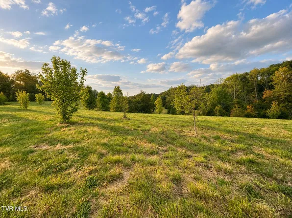 3050 Shackleford Rd, Mosheim, TN 37818
