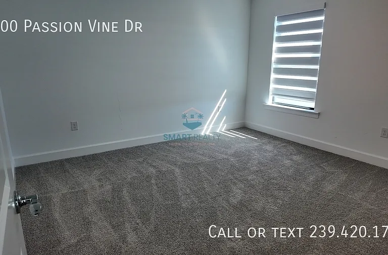 3700 Passion Vine Dr — Photo 5