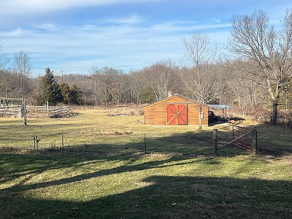 View of the backyard