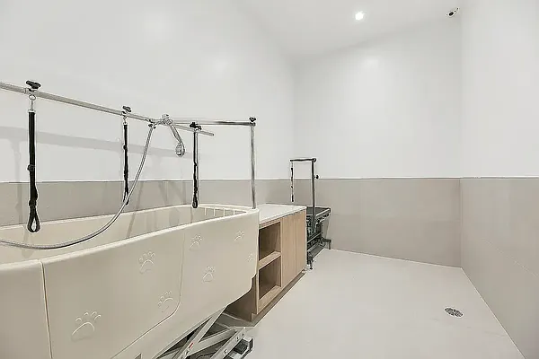 Rented by Goose Property Management LLC | media 21