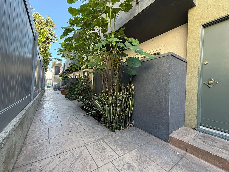pac36 — Photo 12