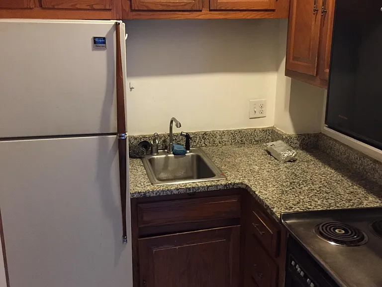 428 Marlborough St #3BB — Photo 8